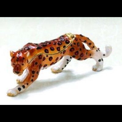 Cheetah