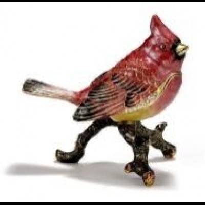 Cardinal On A Branch