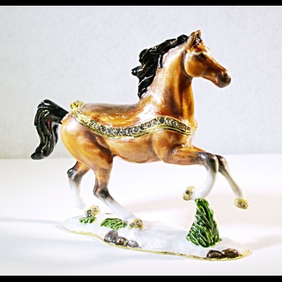 Brown Beauty Horse