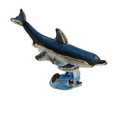 Dolphin on Wave 